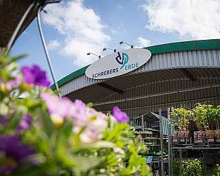 Außenansicht Gartenhandel mit Pflanzen und Blumen unter blauem Himmel
